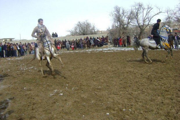 اسب-سواری دیواندره