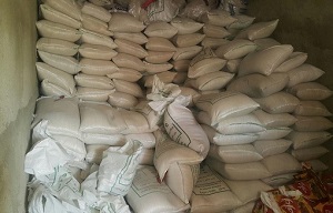 برنج فاسد