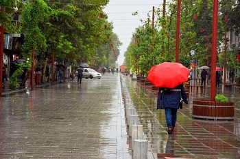 بارش باران