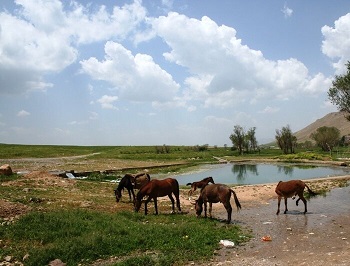 شهرستان دهگلان