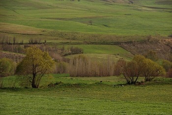 دهگلان