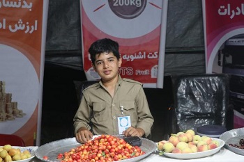 گیلاس اشنویه