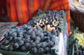 انگور سیاه سردشت