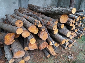 قاچاق چوب