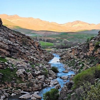 تنگی ور