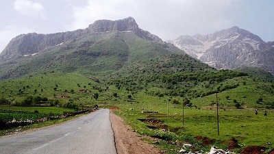 کوه شاهو